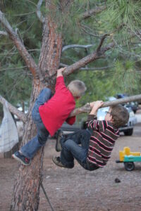 Children climbing a tree. 2013 USA Tour.
