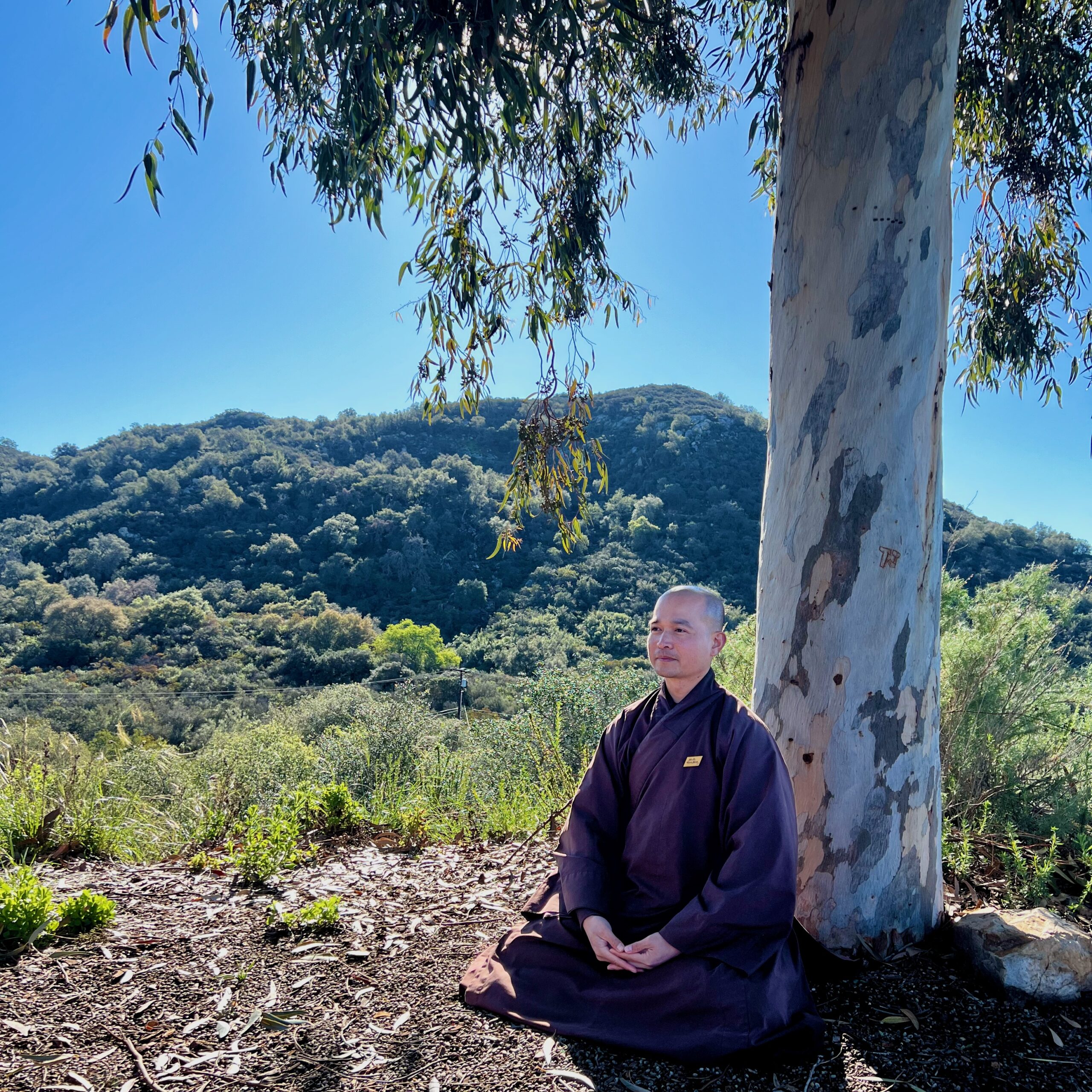 Thay Phap Xu sitting under a tree with the mountains and blue sky in the background
