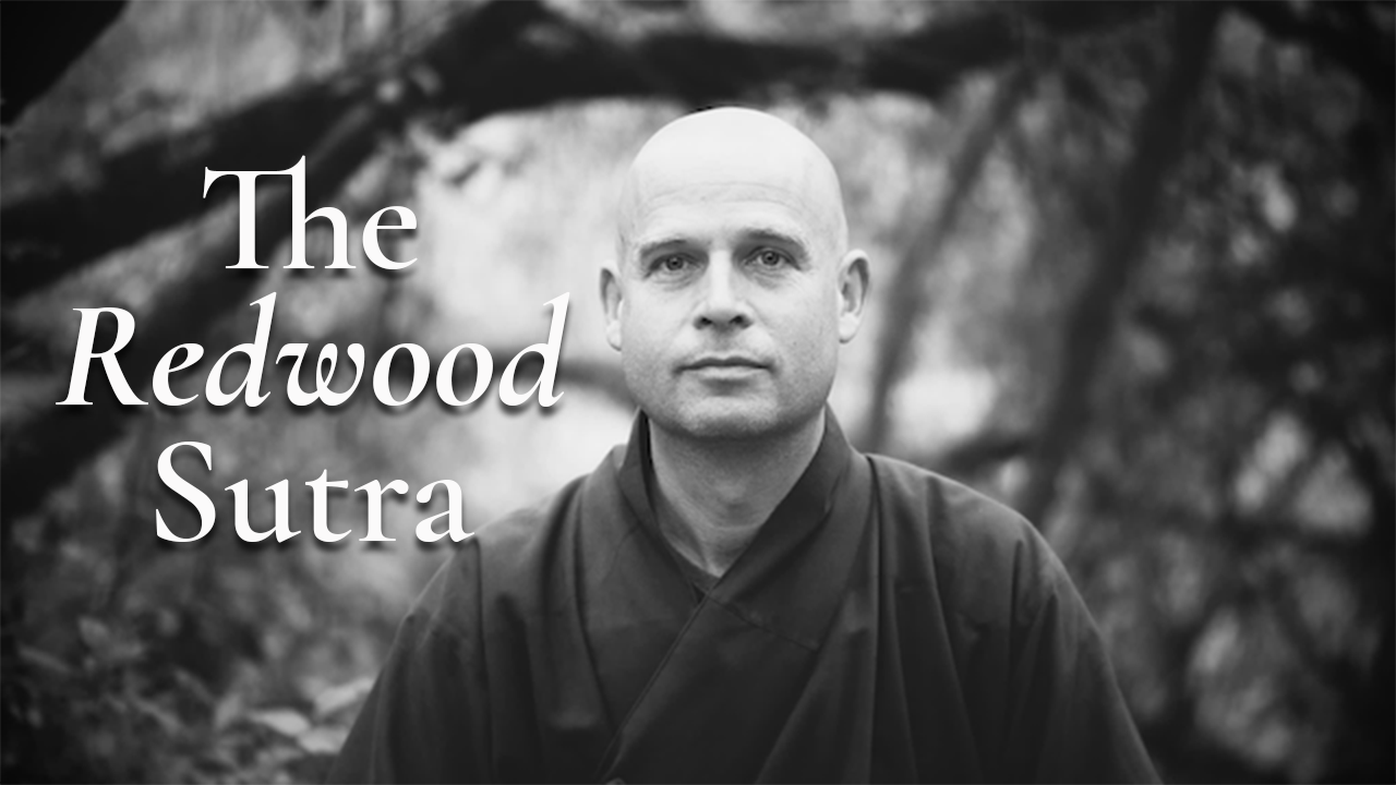 The Redwood Sutra: a Dharma Talk with Thay Phap Luu