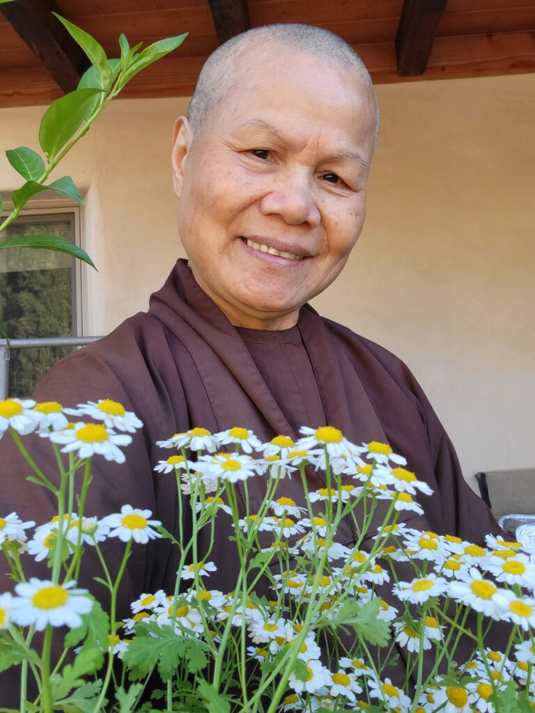 Sister Dac Nghiem