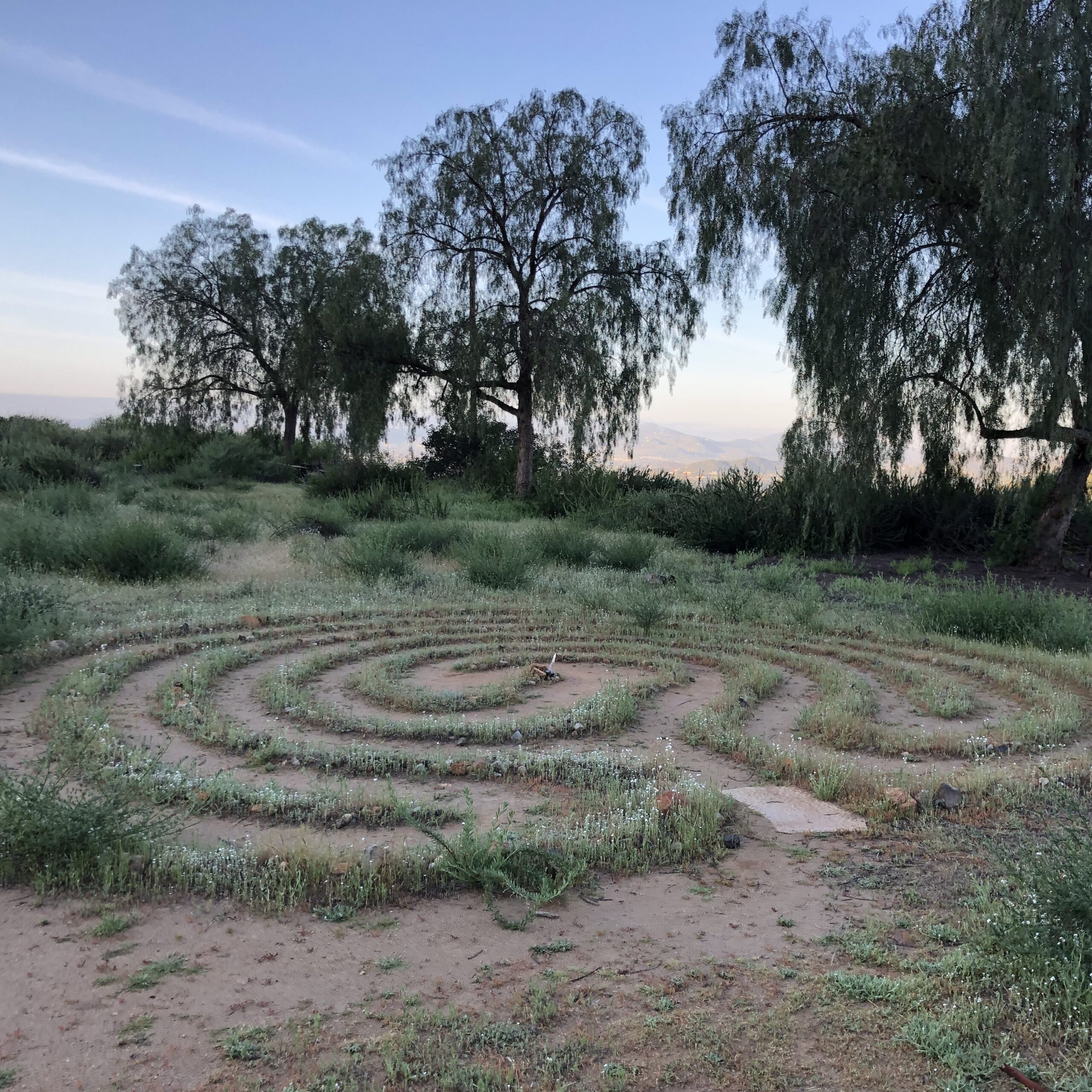 Grass labyrinth