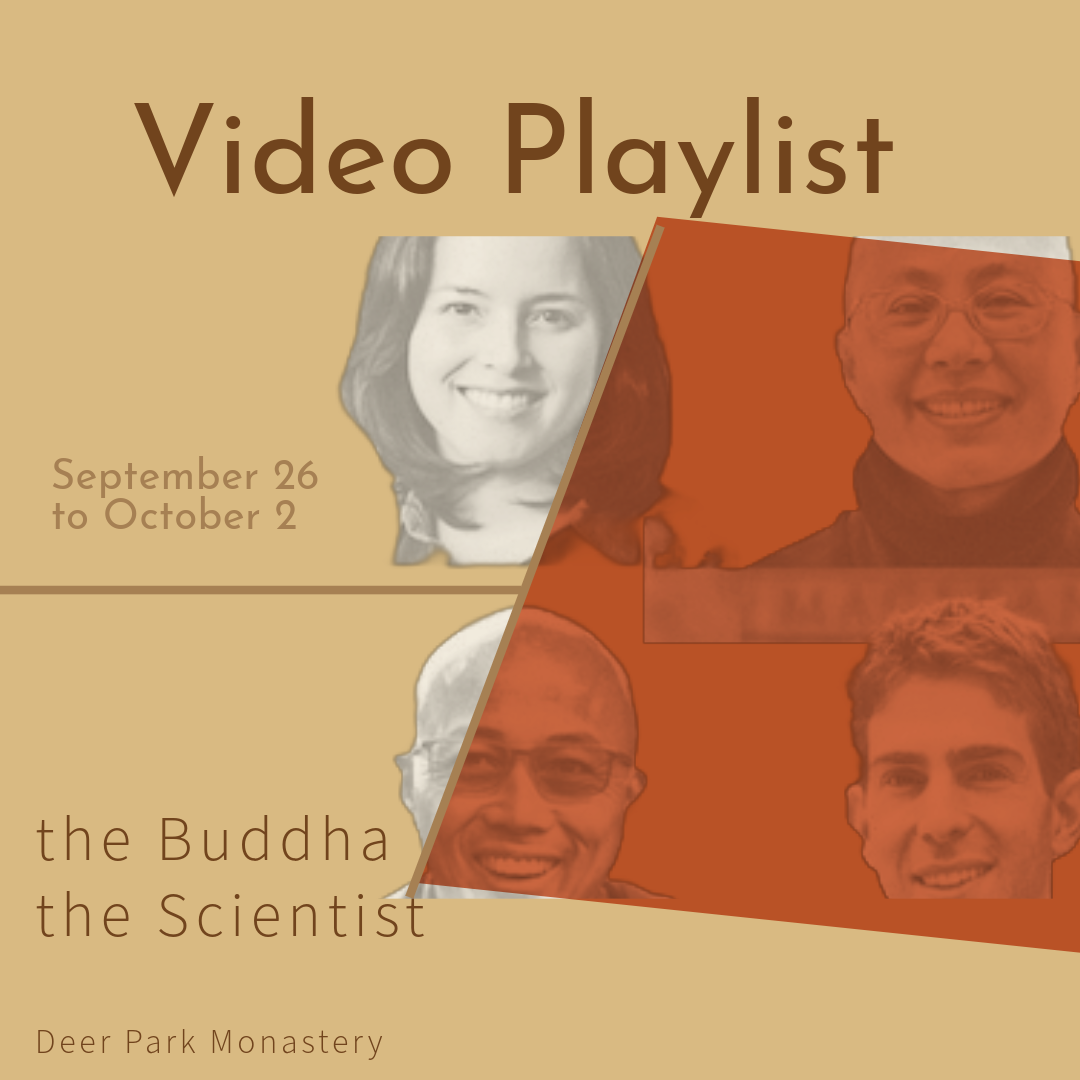 Playlist from the Buddha the Scientist Retreat