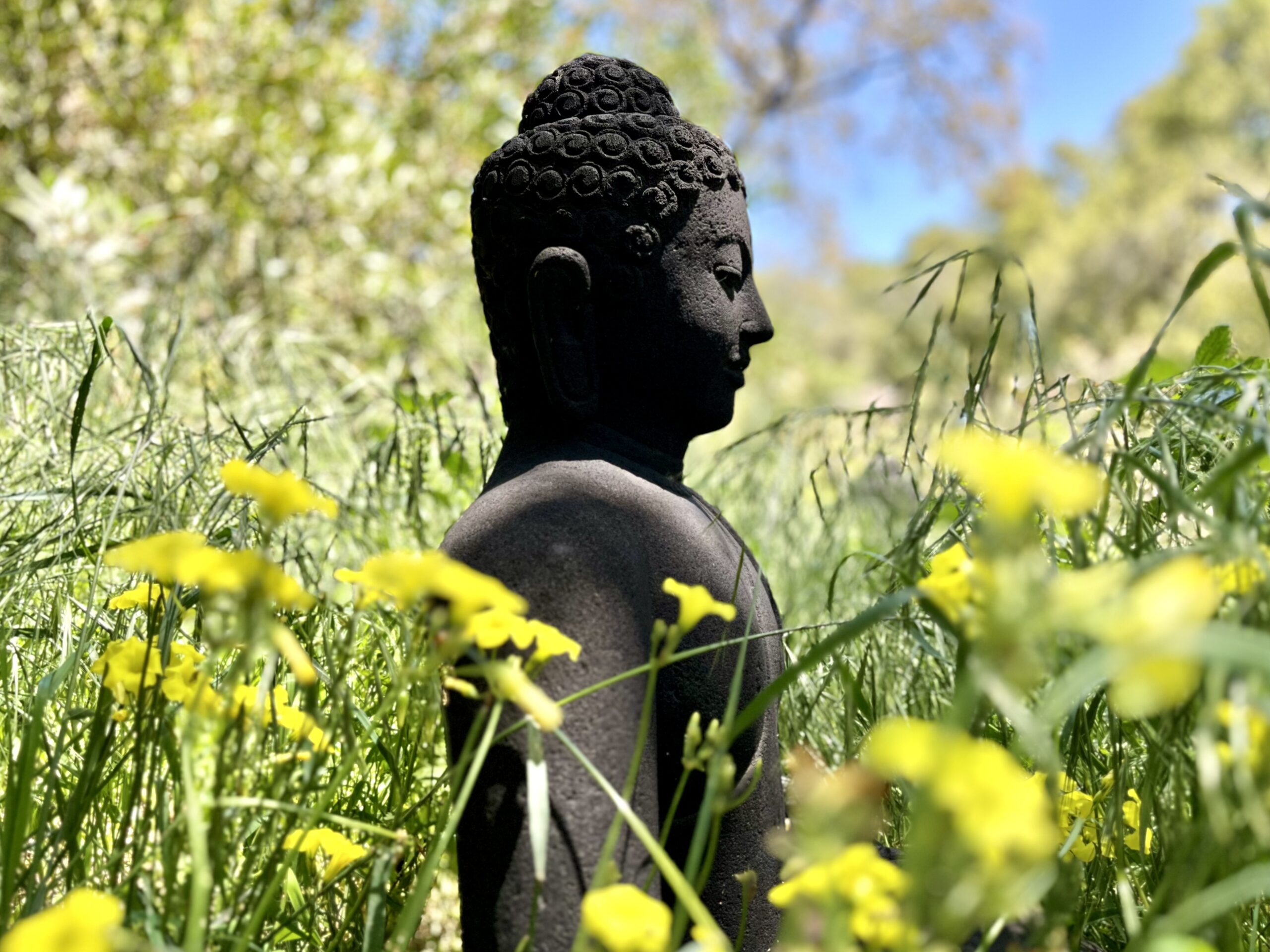 buddha-statue-deer-park